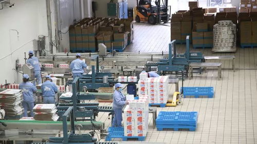 打造一片凈土，開足馬力保牛奶制品安全供應(yīng)與勞動(dòng)保護(hù)用品銷售